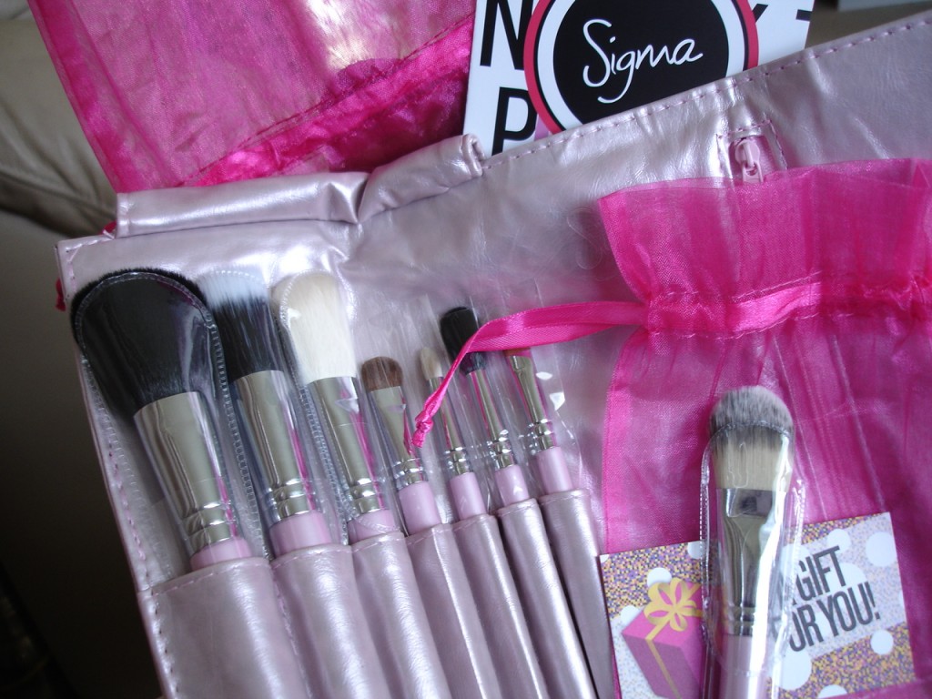 Sigma Travel Kit Nice in Pink Brush Set